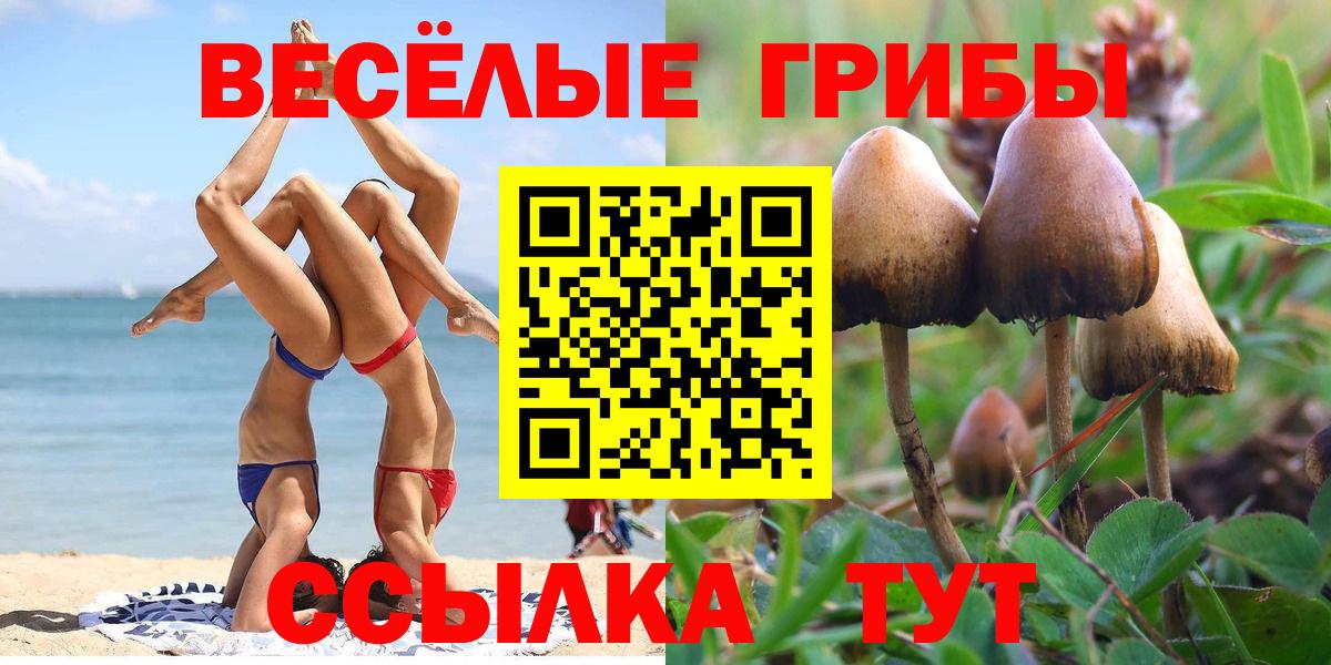 Галлюциногенные грибы MAGIC MUSHROOMS Михайловка